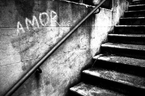20080406000538-amor.jpg